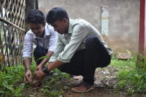 Tree Plantation HELP SOCIETY