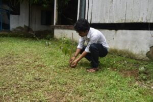 Tree Plantation HELP SOCIETY